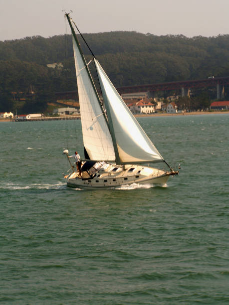Sailboat in San Francisco Bay
