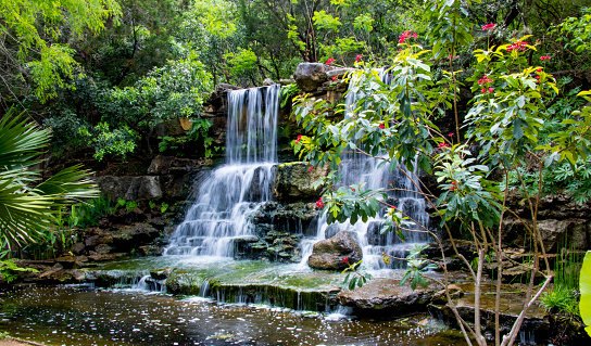 istock Waterfall at Zilker Botanical Garden 1473984785