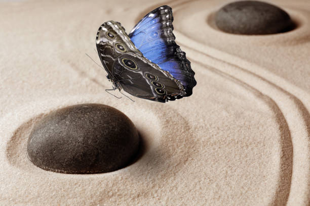 istock Beautiful butterfly and stones on sand with pattern. Zen concept 1473991247
