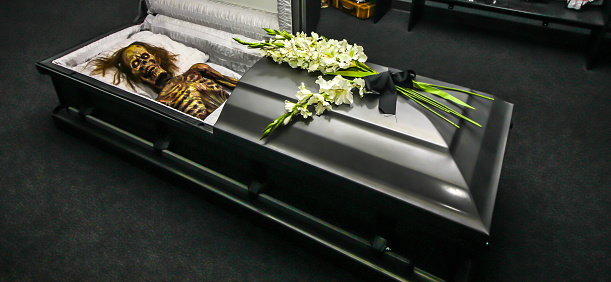 Skeleton In Grey Casket On Display At Horror Shop