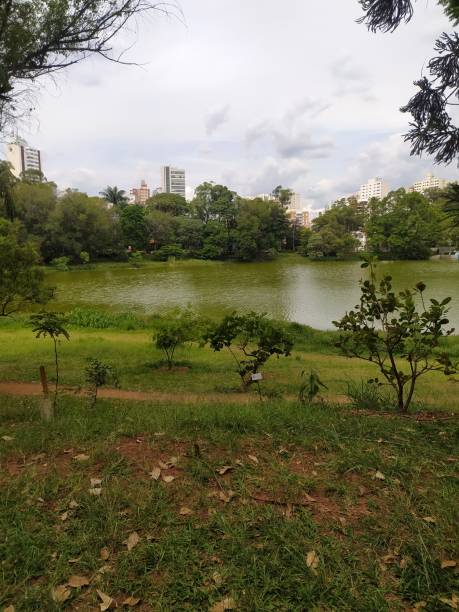 istock Beautiful landscape of Aclimacao park 1473993631