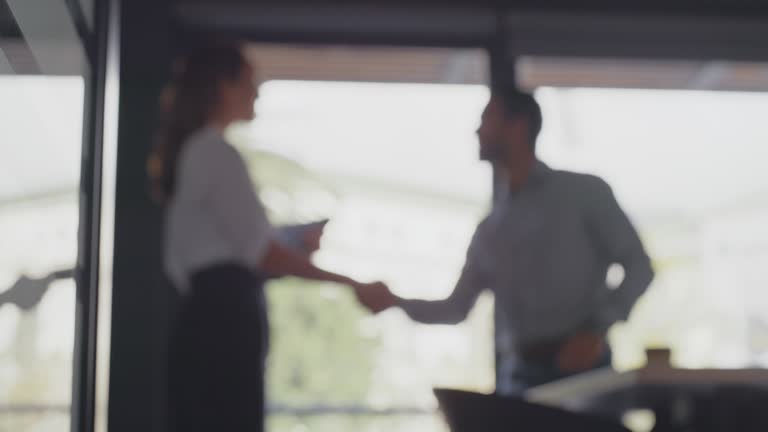 Handshake, partnership and business people meeting for b2b collaboration, onboarding welcome or professional advice. Woman or clients shake hands in blurred background for opportunity or career deal