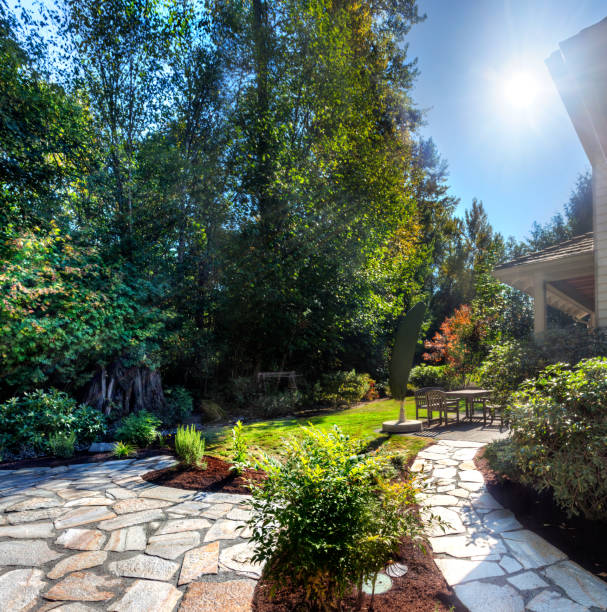 istock Afternoon sun on suburban garden 1473997479
