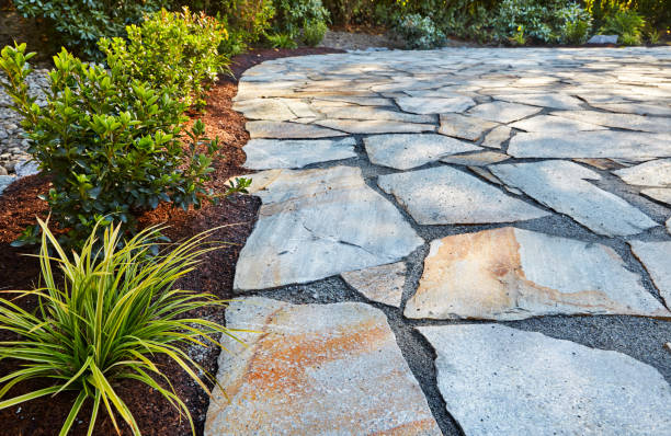 istock Newly transplanted shrubs beside patio 1473997509