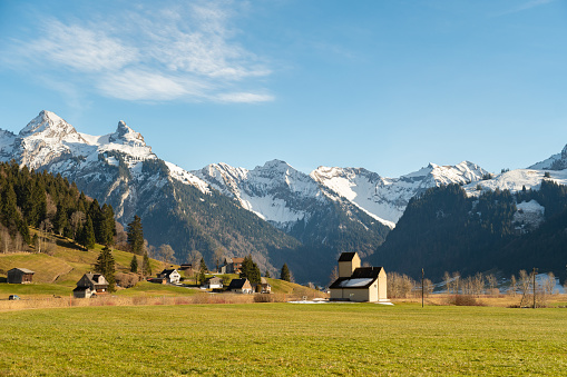 Idyllic landscape in the Alps with fresh green meadows, blooming flowers, farmhouses and snowcapped mountain tops in the background, Nationalpark Berchtesgadener Land, Bavaria, Germany