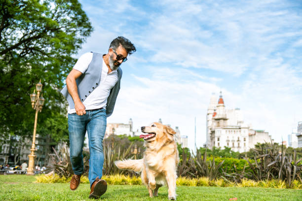 istock Mature man training golden retriever 1474003049