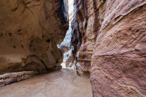 istock Entrace to Petra through gorge, Jordan 1474004308