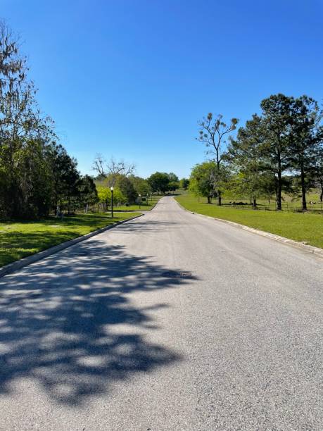 istock View of open road 1474006473