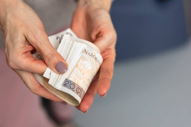 istock Polish money, zlotys 1474012990