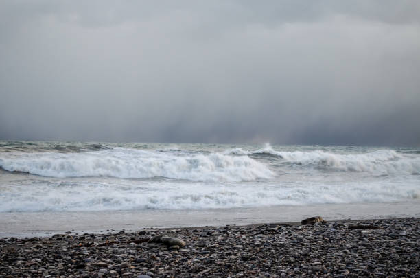 istock Storm on the sea, waves and gray rain clouds 1474013306