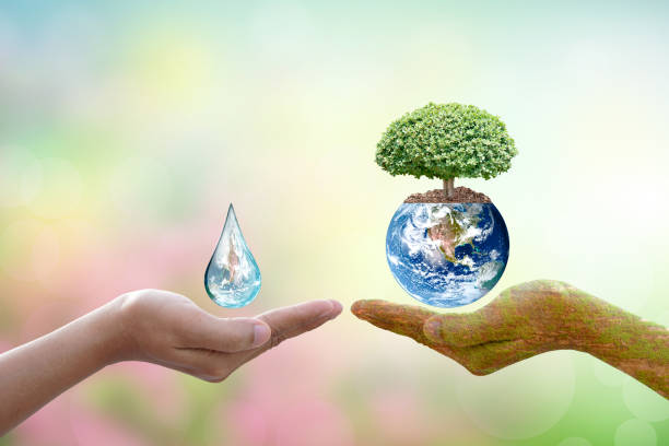 istock concept of saving the world Tree and water droplets on human hands 1474015988