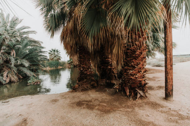 istock Holtville Hot Spring 1474017151