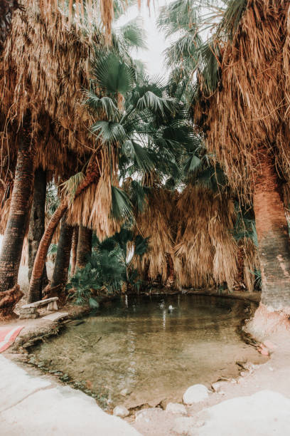 istock Five Palms Hot Spring near Brawley, CA 1474017257