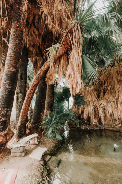 Five Palms Hot Spring near Brawley, CA