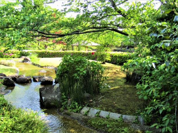 istock Japan. April. Stream in the park. 1474019702