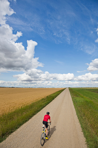 A man rides his gravel bicycle past the fields of wheat in Alberta, Canada. Gravel bikes are similar to road bicycles but have sturdy wheels and tires for riding on rough terrain.