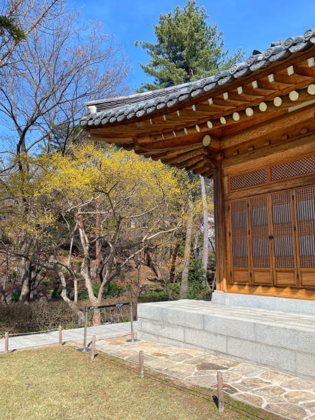 istock Spring comes in Seoul Korea 1474024342
