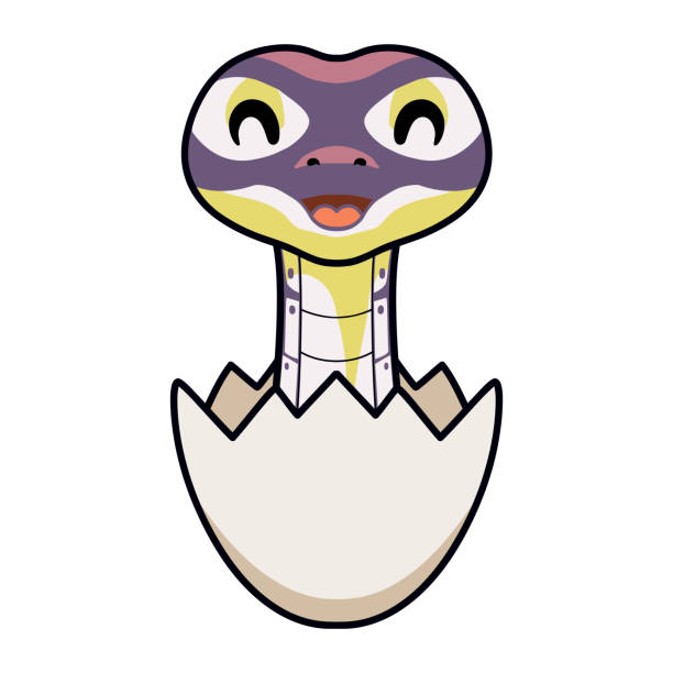 Cute banana pastel ball python cartoon inside an egg Vector illustration of Cute banana pastel ball python cartoon inside an egg python-egg stock illustrations