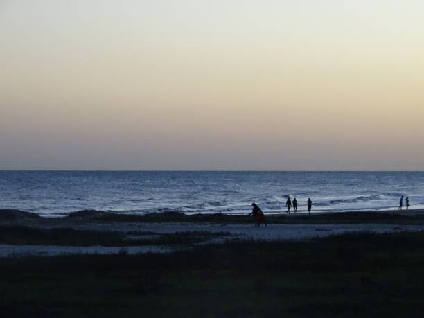 istock Gulf of Mexico 1474033339