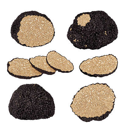 Black truffles isolated on a white background. Fresh sliced truffle. Delicacy exclusive truffle mushroom. on white background, vector illustration