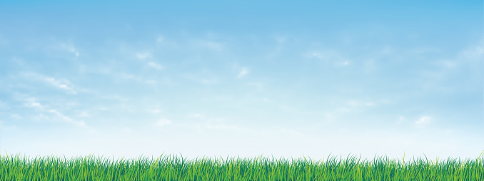 Fresh spring green grass under beautiful blue sky. Nature background with green grass and blue sky. Vector illustration.