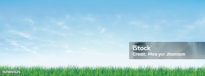 istock Fresh spring green grass under beautiful blue sky. Nature background with green grass and blue sky. Vector illustration. 1474041525
