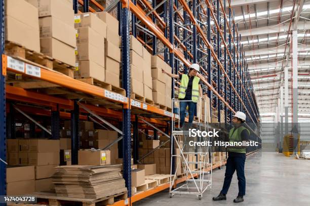Warehouse Roving Warehouse Workers Using A Ladder To Move Boxes While Working Stock ...