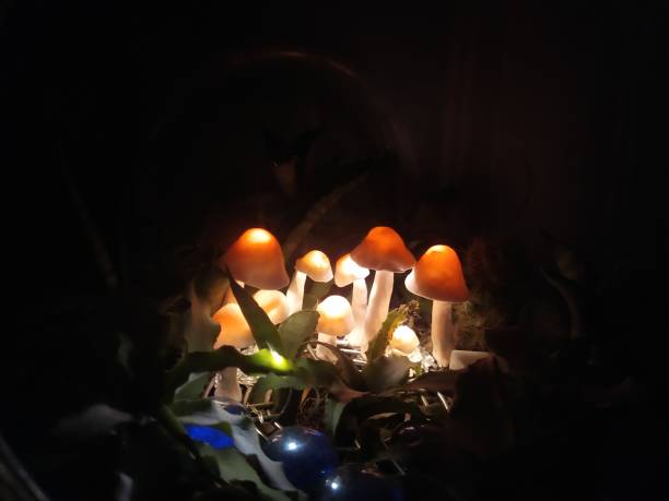 istock mushroom-shaped fairy garden bed lamp. 1474043821