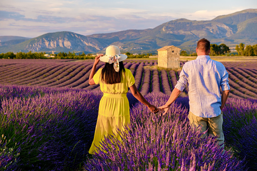 Provence, Lavender field France, Valensole Plateau, a colorful field of Lavender in bloom, Provence, Southern France Couple men and women on vacation at the Provence Southern France