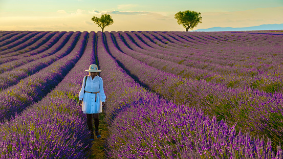 Provence, Lavender field France, Valensole Plateau, a colorful field of Lavender Valensole Plateau, Provence, Southern France Asian women on vacation in france