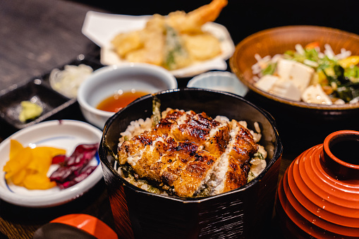 Japanese rice topped with grilled eel ,  Unagi-don