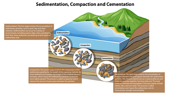 Sedimentation Compaction and Cementation illustration