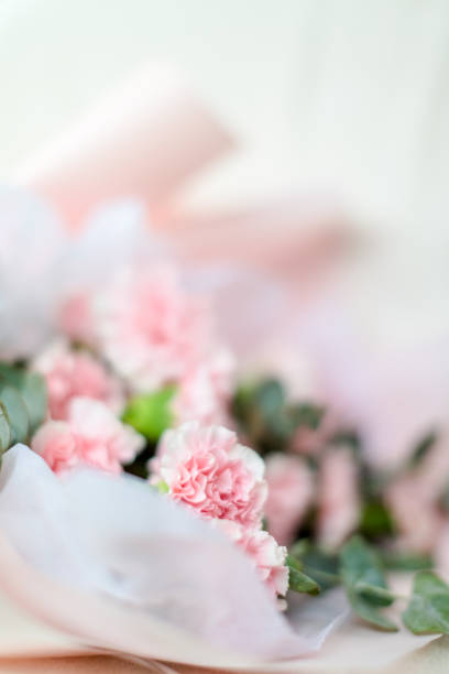 istock Beaufitul Mother Day Carnation Bouquet 1474049346