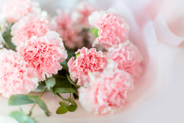 istock Beaufitul Mother Day Carnation Bouquet 1474049358