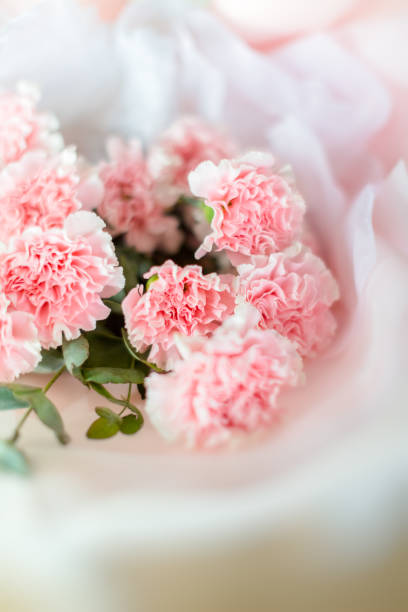 istock Details of Beautiful carnation bouquet 1474049366