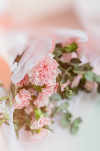 istock Beautiful carnation bouquet on white background 1474049470