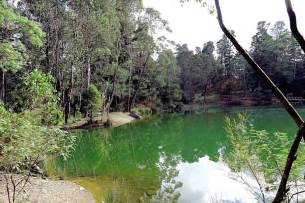 istock Harrietville, Victoria, Australia 1474051342