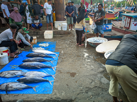 Fresh fish caught by fishermen are sold at the fish market in Pelabuhanratu. Sukabumi, Indonesia - March 17, 2023.