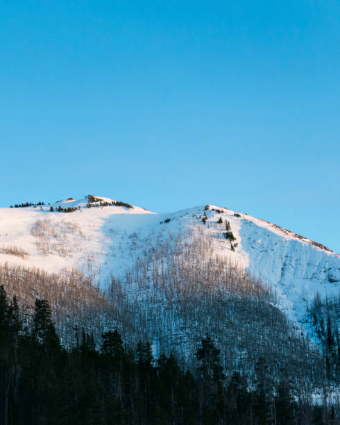 picos de montanhas cobertos de neve com árvores queimadas do incêndio florestal anterior. parque nacional de yellowstone. formato vertical. - vertical forest national forest woods - fotografias e filmes do acervo