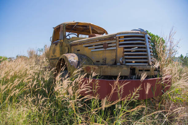 Free Stock Photo of Old Yellow Truck Parked in Field | Download Free ...