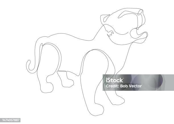 Tiger Fish Lineat One Continuous Line Of Tiger Thin Line Illustration Vector Concept ...