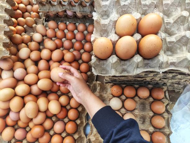 istock a woman's hand selecting eggs at an egg wholesaler. 1474057915