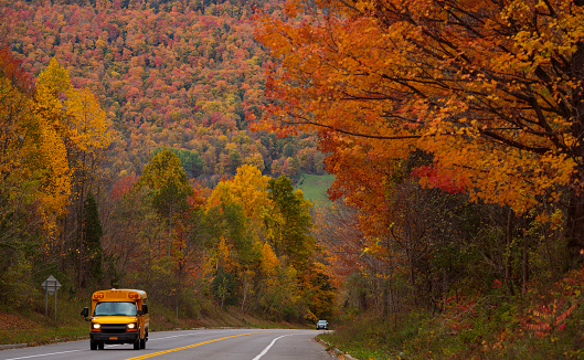 School bus on country road  in rural Upstate New York on a colorful fall day.