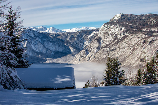 beautiful Bohinj lake in Triglav national park, Slovenia