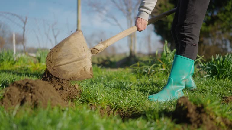 Woman Digging a Hole with a Shovel in Her Home Garden