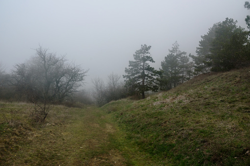 Landscape of Karadag Reserve in early spring. View of trees on mountain in fog and clouds. Crimea