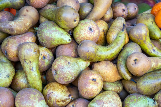 istock Green pears for sale 1474068380