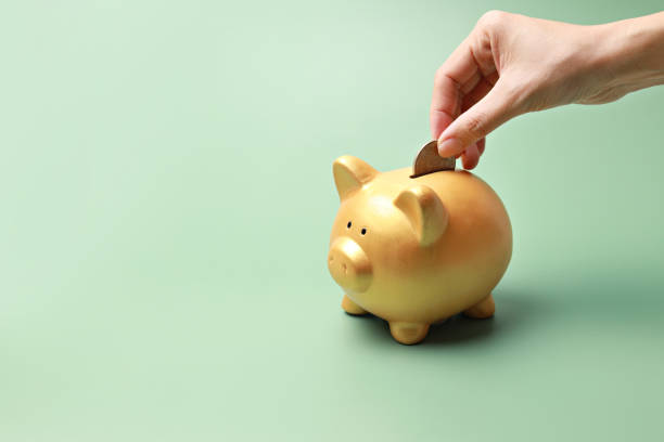 Woman hand putting money coin into piggy bank for saving money wealth and financial concept. stock photo
