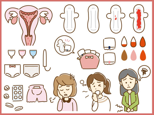 ilustraciones, imágenes clip art, dibujos animados e iconos de stock de ilustración de la menstruación - menstruation tampon gynecological examination sex