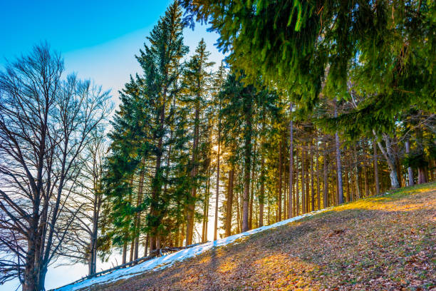 Mountain in Switzerland